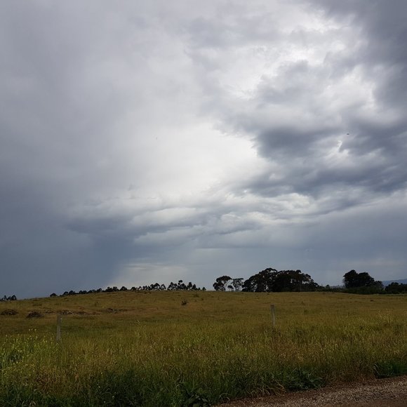 Meet your Posher, Khaled - Picture 8 of 9